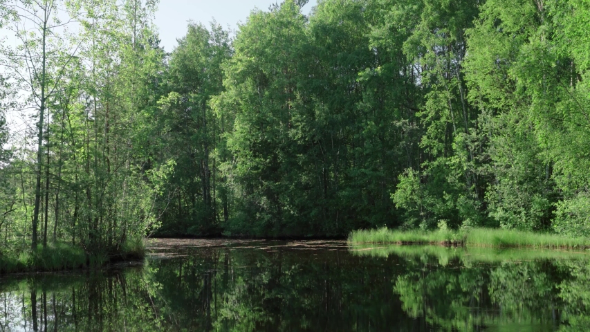 Landscape with forest and trees with river image - Free stock photo ...