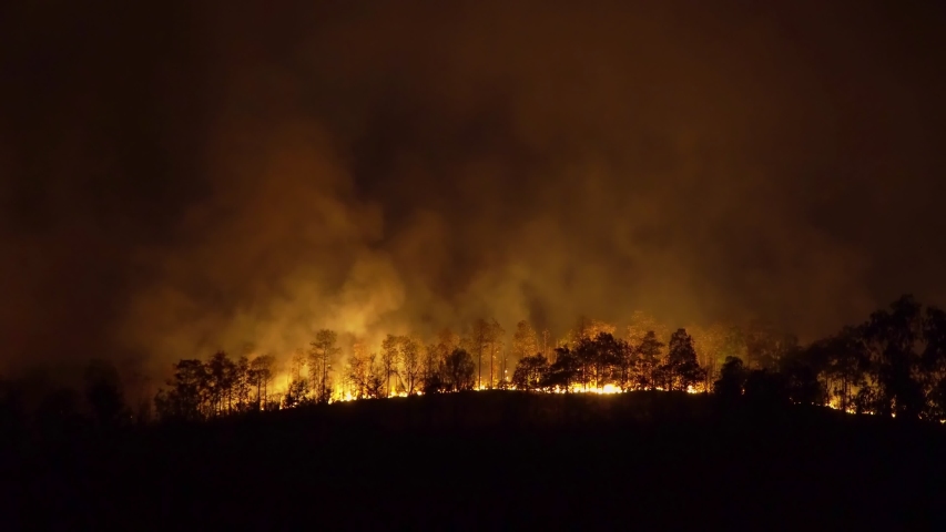 Forest fire disaster is burning caused by human | Shutterstock HD Video #1054671209
