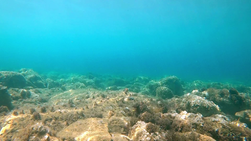 Slow motion view of sea bottom or seabed full of rocks and blue deep water in mediterranean sea.  | Shutterstock HD Video #1054678616