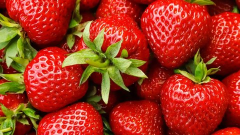 Red ripe strawberries, variety of strawberry Kimberly. Slow motion