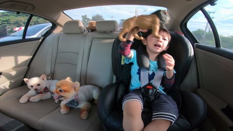cute boy and adorable pomeranian dog sitting in car driving road trips
