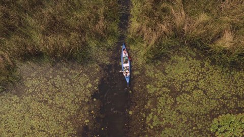 Canoeing in a swampy area drone aerial view from above, Lake Tisza, Hungary