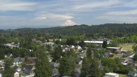 Rows Of Houses And Lush Trees In A Village In Puyallup, Washington With Snowy Mount Rainier In A Distance - aerial