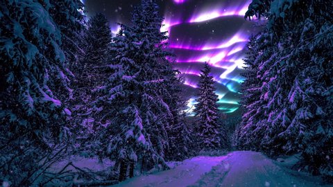 4K Northern lights Polar Aurora Borealis. Winter snowfall over a northern forest. Falling snow video overlay image of path trail road through night forest woods in winter. Winter animated postcard