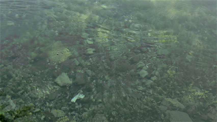 Spring where Ceyhan River begins to flow.