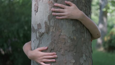 Hug the tree. Hands of a child hug a tree trunk.