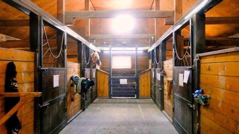 Brown horses stand in the barn and look at each other. Close-up of the head of horses. Inside the stable of a horse farm with horses protruding their heads from the stalls.