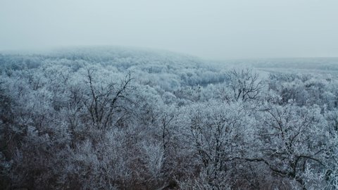 Nature in winter. White trees in snow frost. Panoramic view of nature landscape in winter season. Beautiful river in the forest. Aerial view.