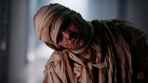 Scary ancient mummy covered in bandages in cursed hallway of old house. Halloween thematic undead blancly staring at camera. awaken from sleep - halloween costumes 4k footage – Video có sẵn