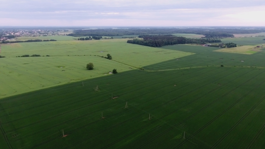 Power Supply Pole Lines In Green Agricultural Fields. Aerial Forward Footage. Royalty-Free Stock Footage #1054720259