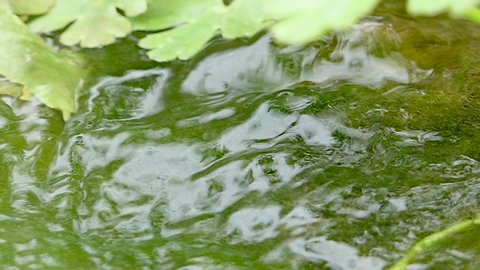 Surface Water Background in Forest River or Lake. Calm Relaxing Background. River Close Up Abundant Clear Stream. Light Reflections in Clean Water Slow Motion. Amazing waves on ripple surface river.