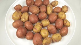 Closeup view 4k video footage of new early organic potatoes isolated on white plate turning slowly around.