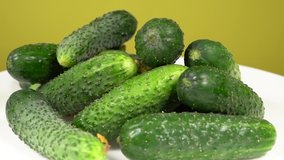 Closeup view video footage of fresh green organic cucumbers isolated on white plate spining slowly around. Eco farm production of healthy food and products concept.