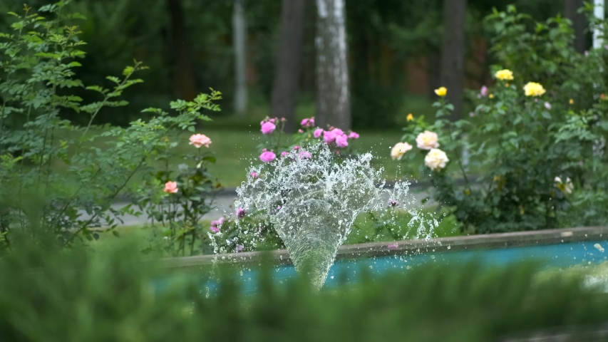 Small decorative fountain in the city Park close-up. Beautiful roses grow in the background. Landscape design.