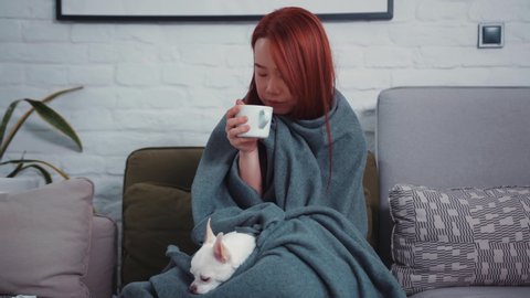 Sick pretty asian girl suffering with flu, drinking hot tea and warming up with blanket on sofa. Cute Chihuahua dog. Human and pet health care. Stay at home. Coronavirus.