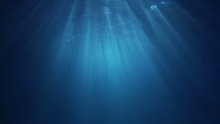 Underwater Ocean Deep Video Backdrop | Shutterstock HD Video #1054727579