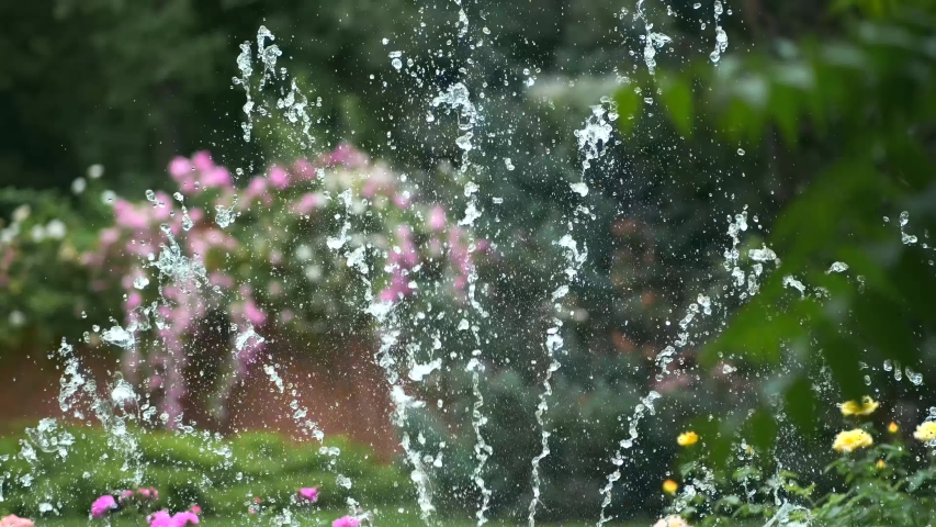 Splashing water drops of a summer fountain in the park against a pink rose Bush. Close-up of the fountain in the garden.