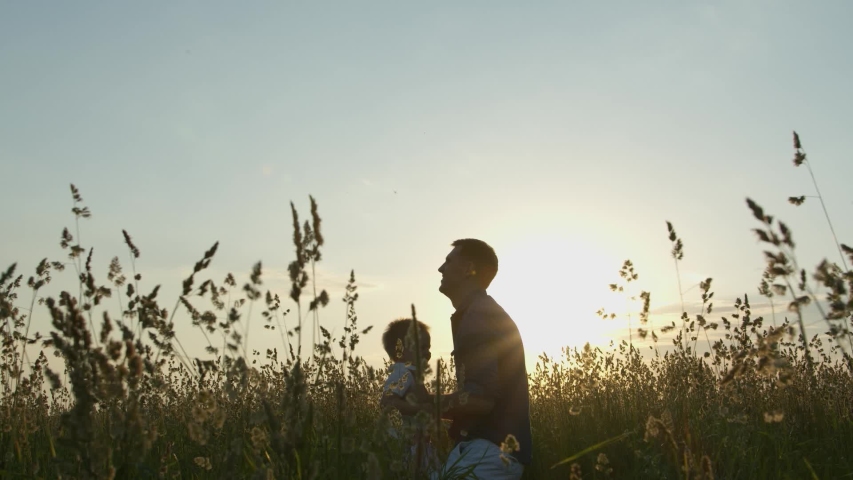 Happy father throws in his son arms in the air in a field with high grass at sunset in slow motion Royalty-Free Stock Footage #1054733279