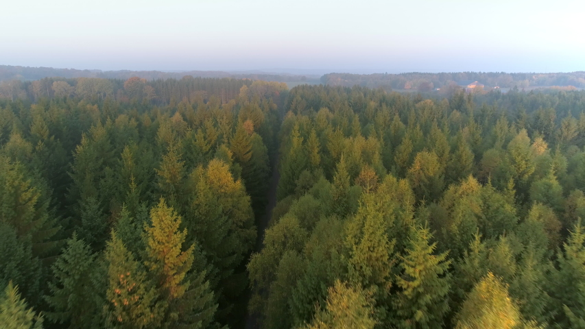 Aerial top down view of gravel road in forest in the autumn, misty morning. Drone shot flying over tree tops, Nature background in 4K resolution Royalty-Free Stock Footage #1054736636