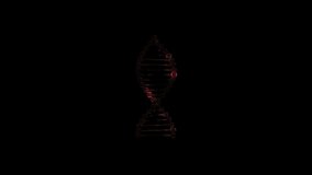 3d rendering of a spiral looking DNA twisting around its axis over black background.