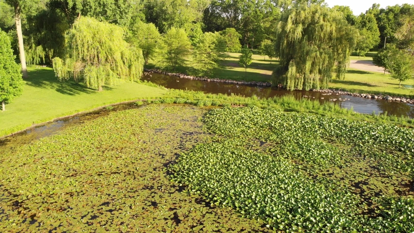 Small city park with pond. Aerial view
