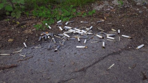 Scrolling pan of cigarette butts on the pavement. The concept of environmental pollution, and cleaning ashtrays from cars on nature.