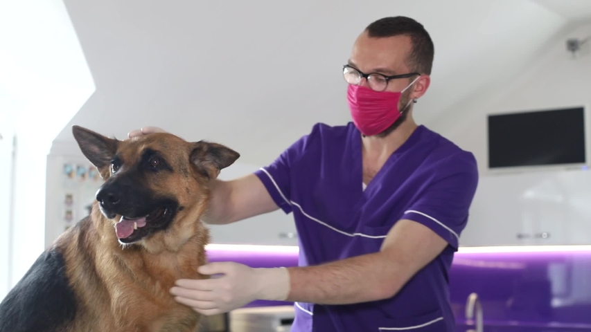 Shutterstock video thumbnail