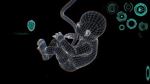 medical Interface, unborn child in the womb 3D render