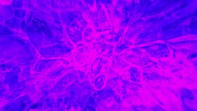 neon bubbles seethe and burst. pink-blue looped abstract animation