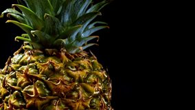 Juicy fresh big pineapple rotating on black background. Fruit isolated. Macro surface of tropical product. 4k. High quality footage.