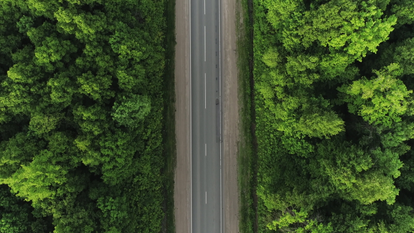 One Semi Truck with white trailer and cab driving / traveling alone on dense flat forest asphalt straight empty road, highway top down view follow vehicle aerial footage / Freeway trucks traffic | Shutterstock HD Video #1054808027
