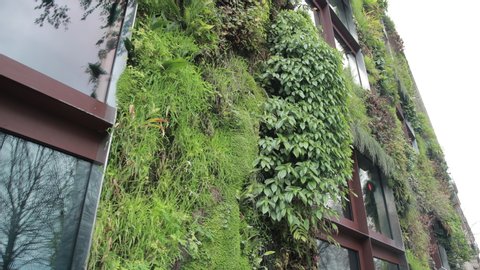 PARIS, FRANCE - JAN 8, 2020: Patrick Blanc, Le Mur Vegetal Garden, Quai Branly museum, Living Wall, Jean Nouvel, Green Living Architecture