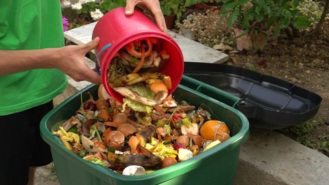 Sustainable living. Food and Green organics, recyclable materials. Bio waste bin. Kitchen food scraps including fruit, vegetables and egg shells. Separate waste collection