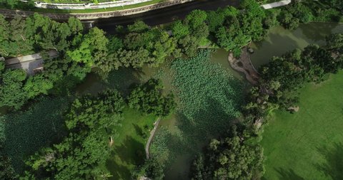 Aerial view of beautiful park in Shenzhen city,China