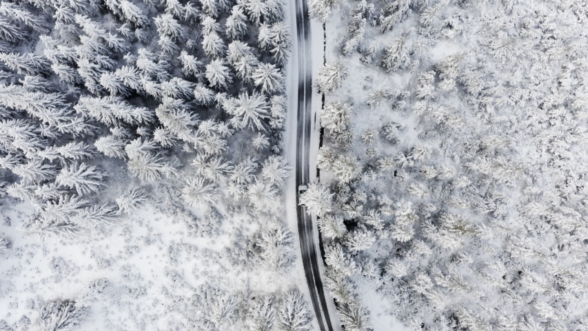 Top-down aerial view of a single white car driving along the semi-curved road located in the middle of the forest