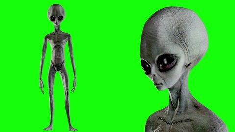 Scary gray alien stands and looks blinking on a green screen. UFO futuristic concept. 3D rendering.