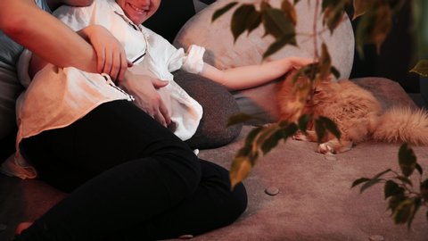 The man is stroking bare belly of his pregnant wife when she pets the cat. Big green tree covers the family and the red cat laying at the sofa together. Theme of pregnancy and happy family life.