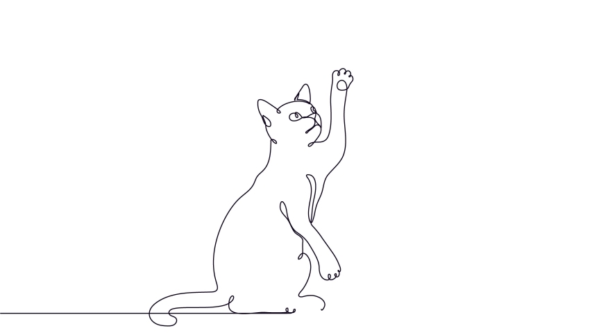 Cat Playing Drawing Stock Video Footage - 4K and HD Video Clips ...