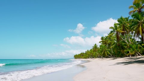 Sea waves seamless loop on the white Hawaiian sand beach . Walk on a tropical natural sandy beach. Palm trees, blu sea, and clear sand landscape. Paradise beach
