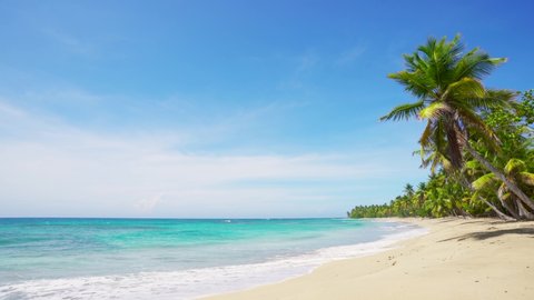 Walk on the beautiful palm beach. Turquoise Caribbean sea water at the white sand beach Punta Cana Dominican republic. Tropical seaside beach with azure water and big white waves. 