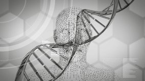 Animation of digital human head made of grey particles spinning over double helix of DNA strand rotating and data processing with hexagons on grey background. Artificial intelligence futuristic - Powered by Shutterstock - Get 15% off with code: PIKWIZARD15