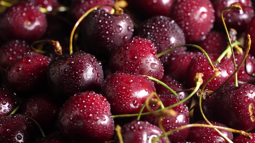 Fresh juicy wet red cherry rotation. Bird-cherry berries. Loop motion | Shutterstock HD Video #1054924748