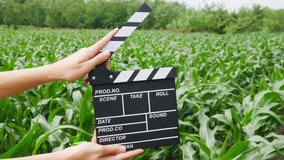 Close up female hold in hand wooden director black film making clapperboard on a cornfield. 