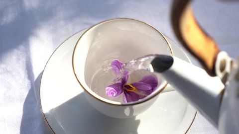 Top view herbal teacup on the table. Pouring tea with saffron flowers.Tea cups on the white tablecloth․Tea being poured into glass tea cup.
