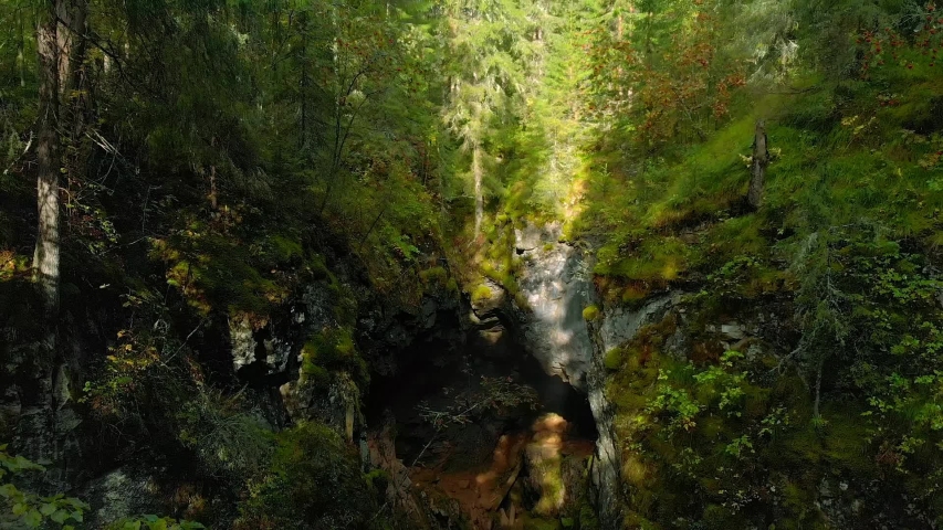 Deer’s streams park. Hiking on the Serga river.