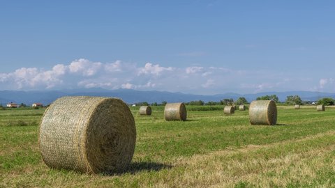 Large round hay bales in the Tuscan countryside near Pisa, Italy, with the Apennine mountains in the background and clouds in time lapse motion
