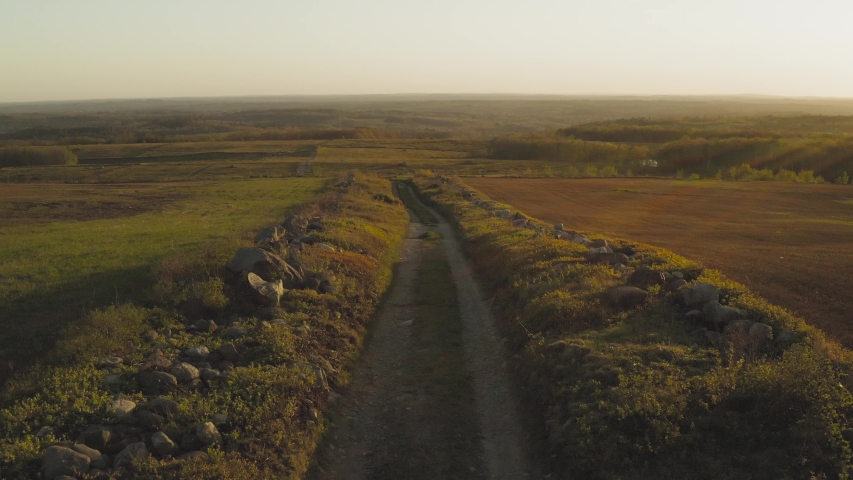 Vibrant green country road landscape sunset aerial