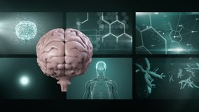 Animation of 3d pink human brain rotating in front of magnetic resonance imaging scan screens and DNA strand spinning in the background. Global medicine science and research network digitally  - Powered by Shutterstock - Get 15% off with code: PIKWIZARD15