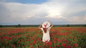 Happy Woman in white dress and hat on Poppy Flowers Field at summer, blue deep sky and clouds. Back view. Video footage Full HD