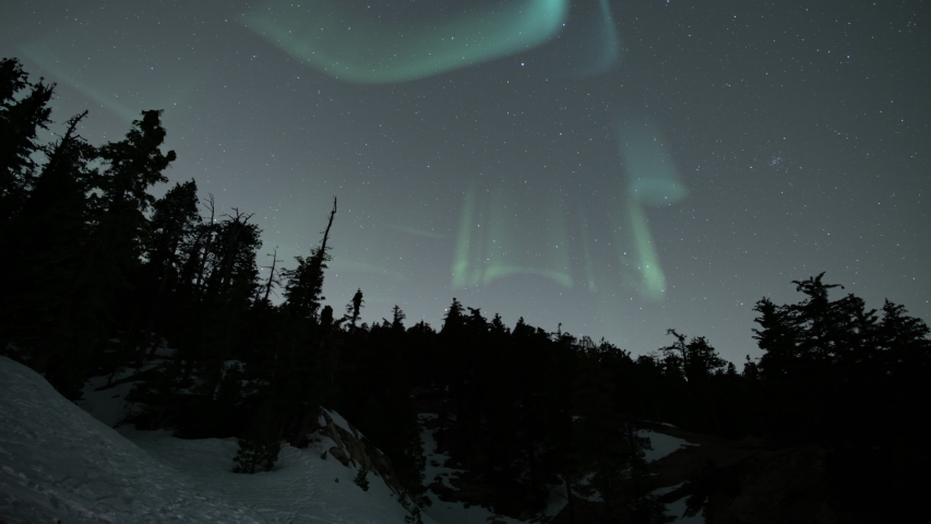 Aurora Green Above Pine Forest Snow Loop | Shutterstock HD Video #1055003222